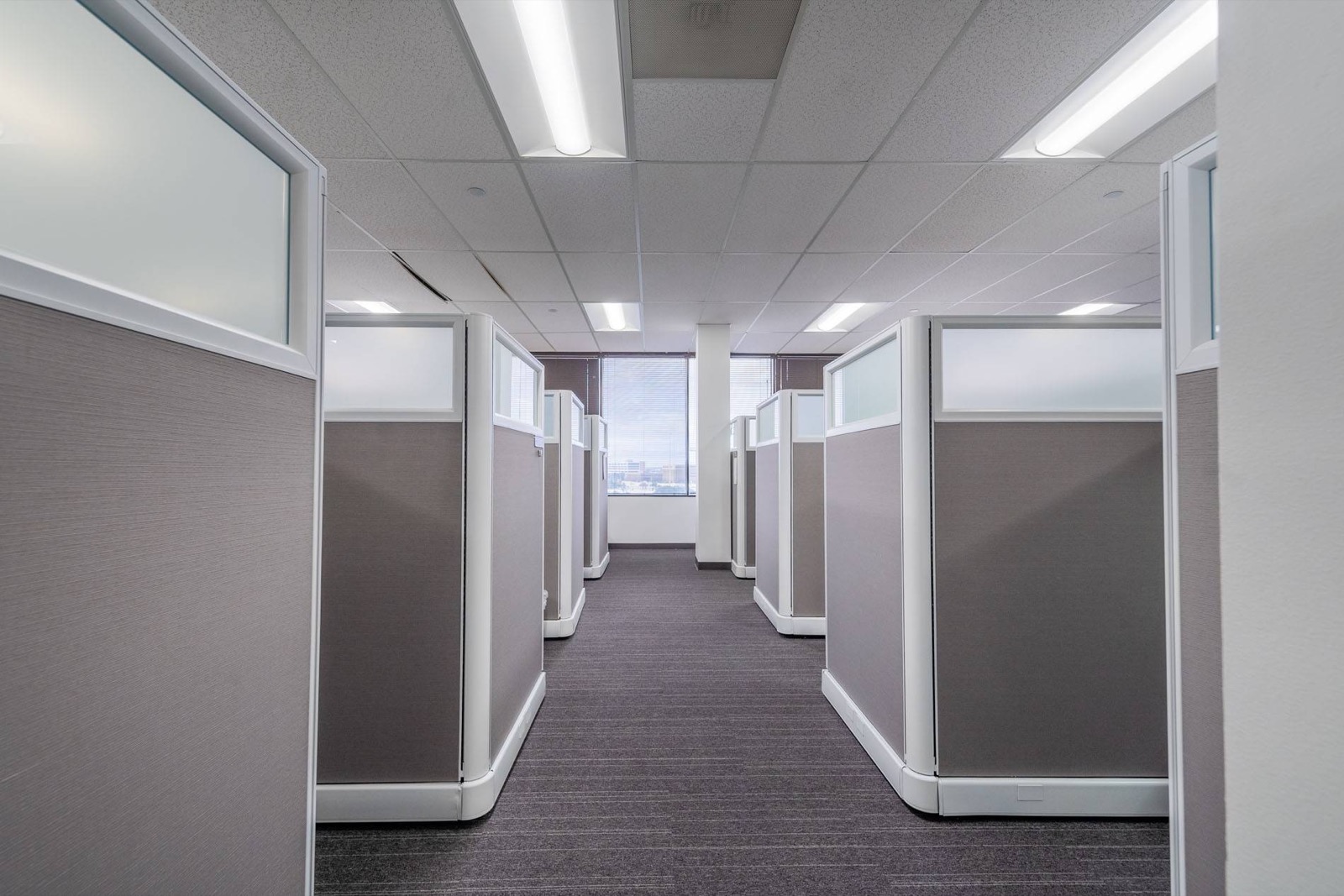 An aisle of fabric-covered cubicle panels with frosted glass tops